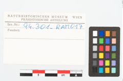 Etikett zu Eisenkonvolut (NHMW-PRAE-094301)